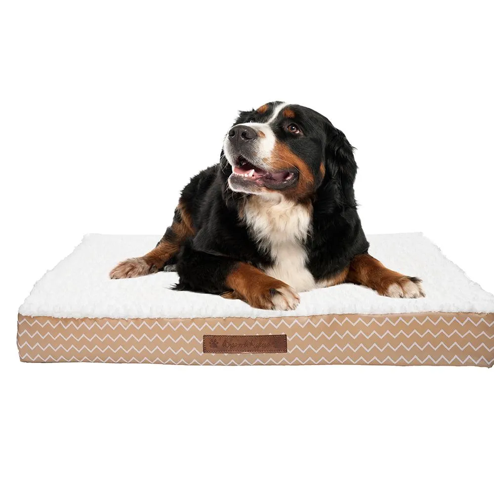 Wags & Whiskers Memory Foam Pet Bed - Assorted Styles