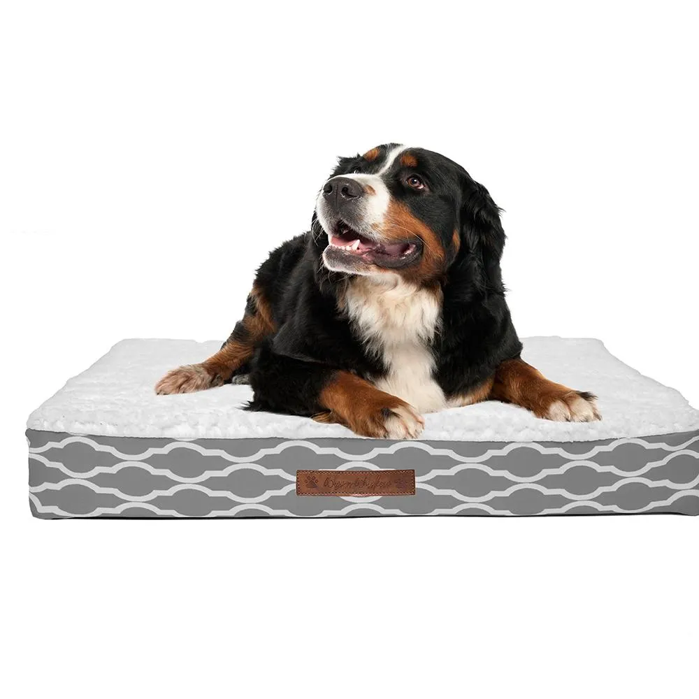 Wags & Whiskers Memory Foam Pet Bed - Assorted Styles