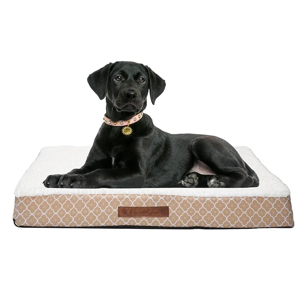 Wags & Whiskers Memory Foam Pet Bed - Assorted Styles