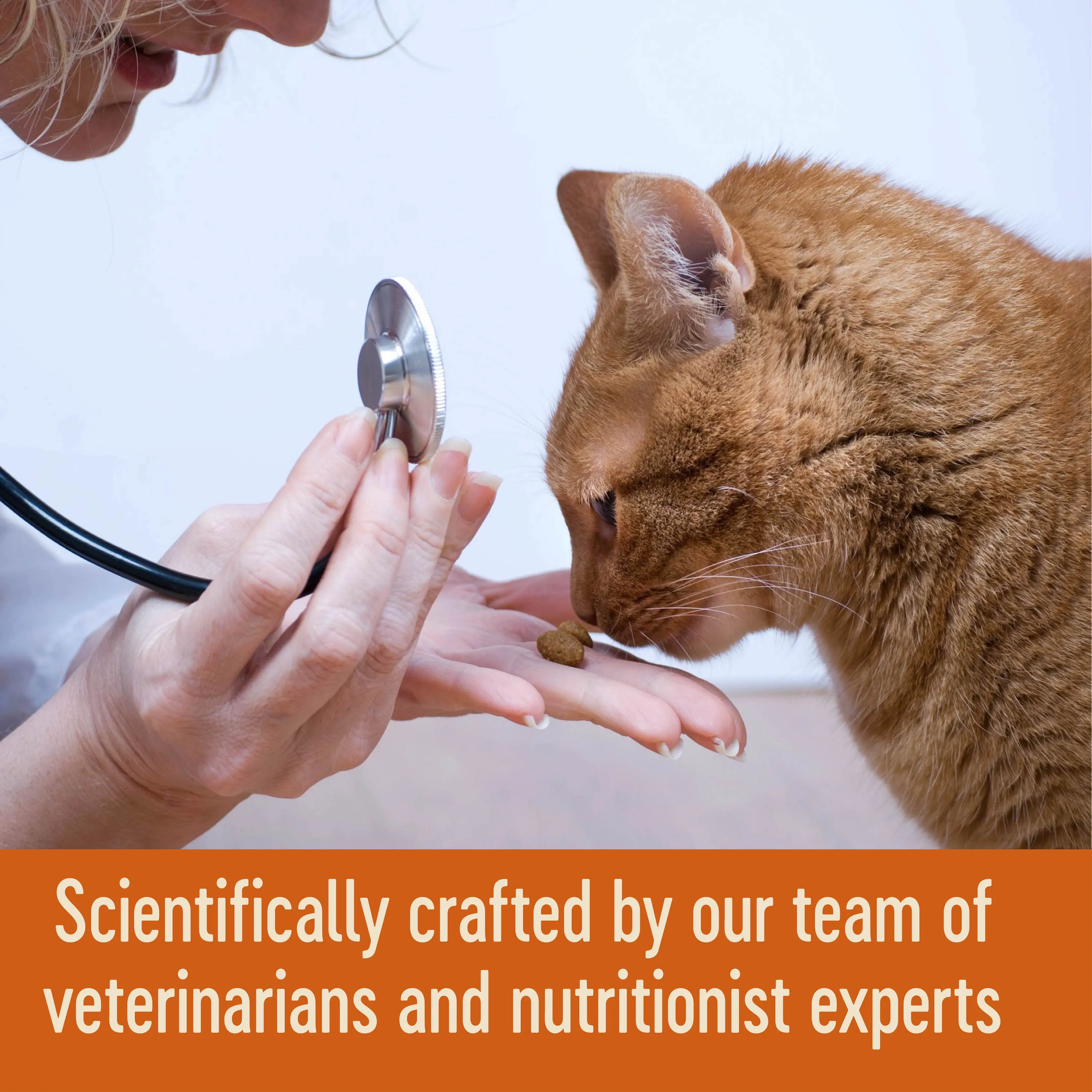 Wellness CORE Tender Cuts with Salmon and Tuna in Gravy Wet Cat Food 85g^^^