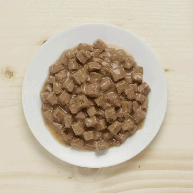 Wellness CORE Tender Cuts with Salmon and Tuna in Gravy Wet Cat Food 85g^^^