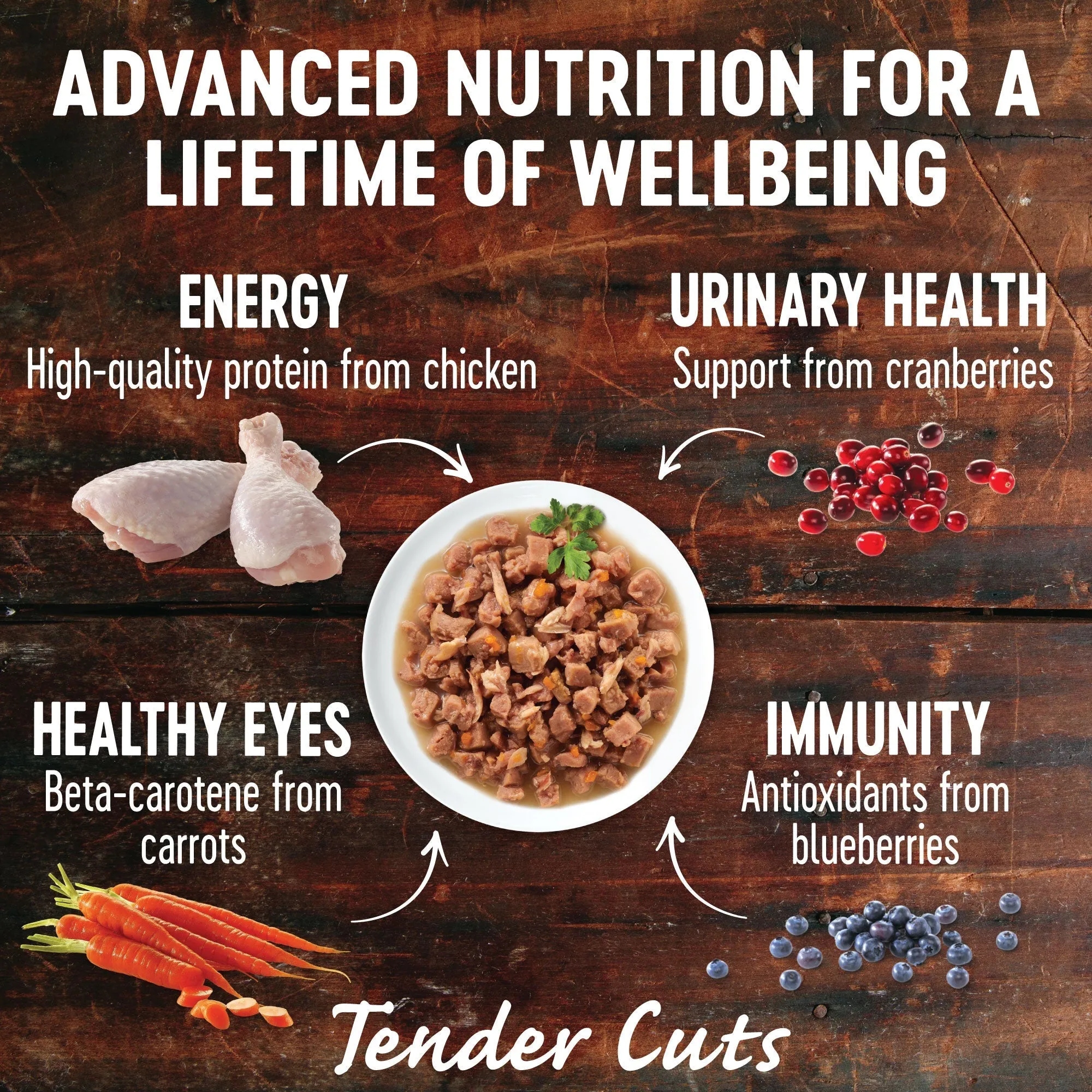 Wellness CORE Tender Cuts with Salmon and Tuna in Gravy Wet Cat Food 85g^^^