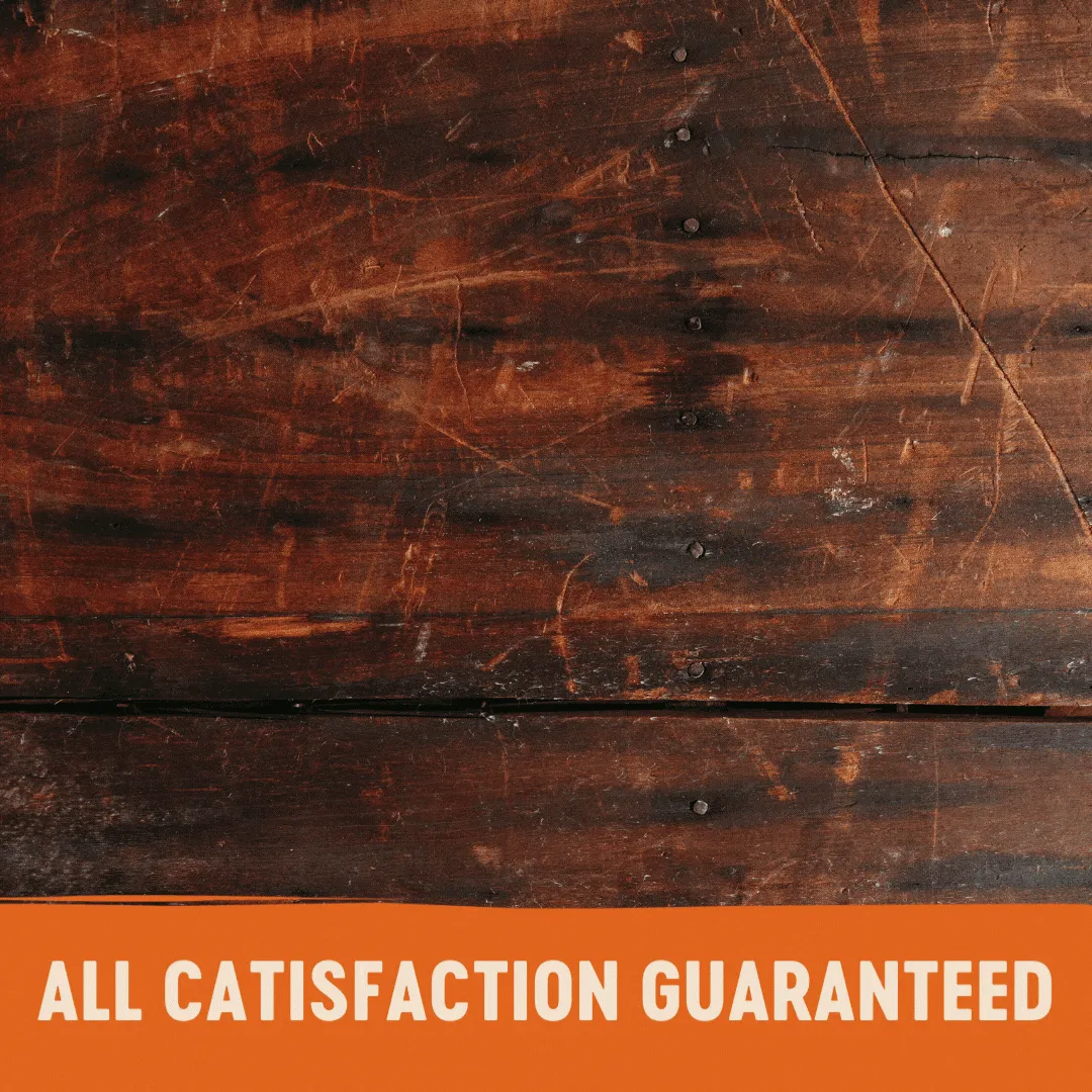 Wellness CORE Tender Cuts with Salmon and Tuna in Gravy Wet Cat Food 85g^^^