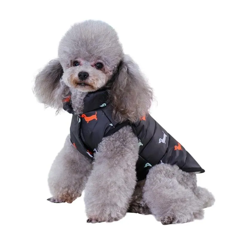 Winter Dog Jacket - Dog Print