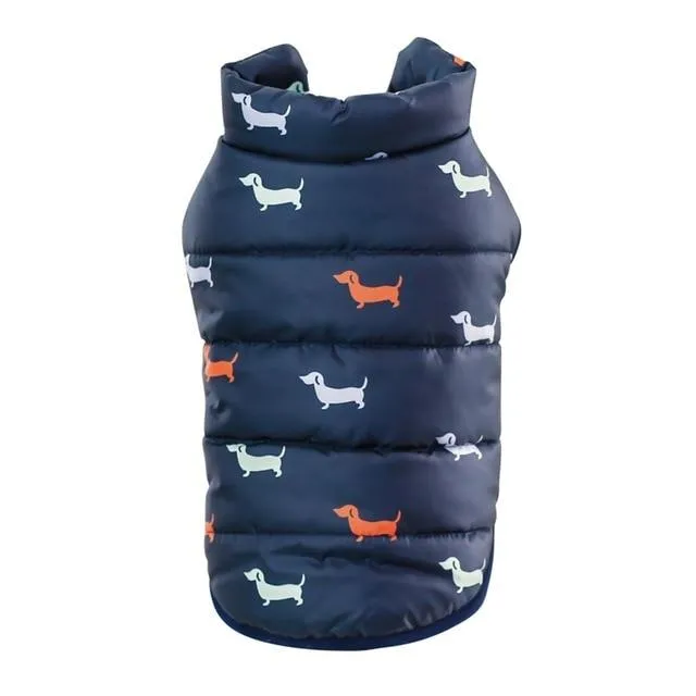 Winter Dog Jacket - Dog Print