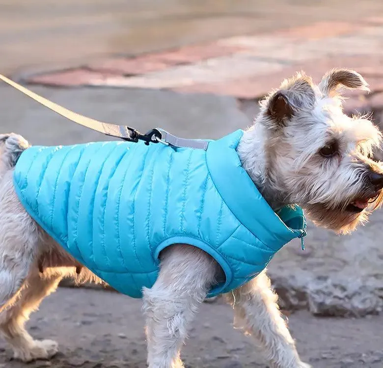Winter Jackets: Gear Up Your Pup for the Chill! - Dog Clothes