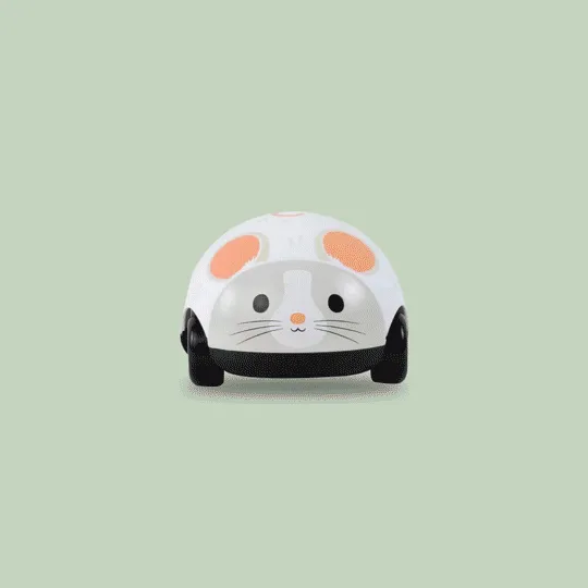 Zoomies - Cat and Mouse